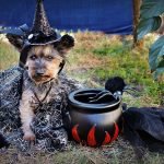 Halloween!