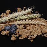 National Grain-Free Day!