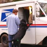National Thank a Mail Carrier Day!