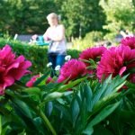 National Plant A Flower Day!